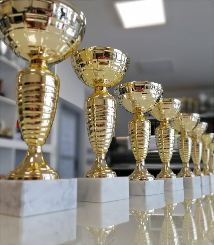 Trofeji, medalje i priznanja